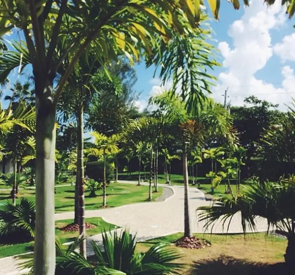 solange-jamaica vacation 2013-the jasmine brand