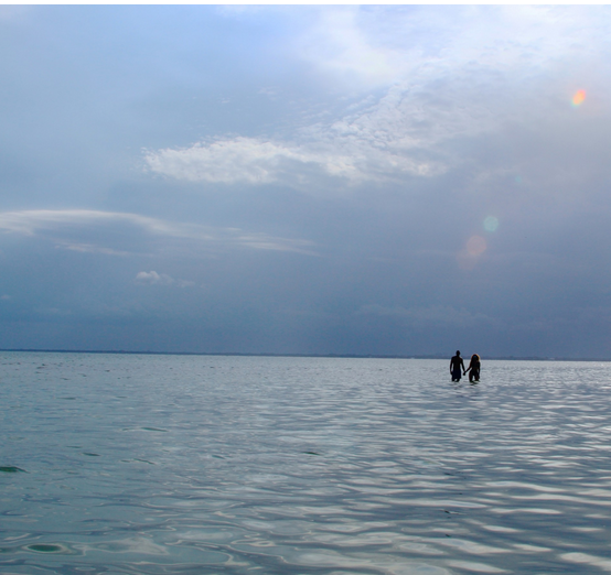 Screen Shot 2014-07-01 at 8.57.53 PM