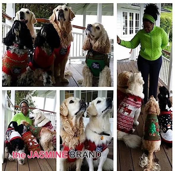 Screen Shot 2014-12-23 at 9.04.24 PM