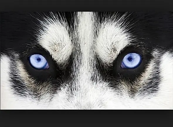 Screen Shot 2015-01-15 at 2.48.45 PM