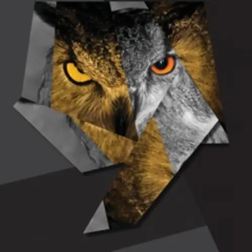 [New Music] Drake ‘5 Am in Toronto’