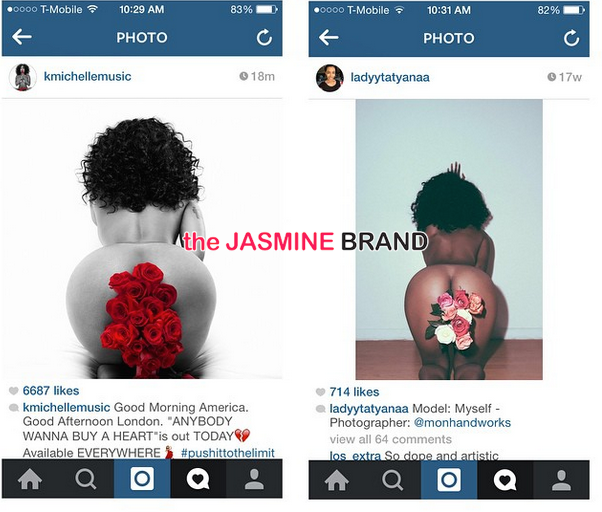 Woman Claims K.Michelle Copied Nude Photo Shoot For Album Artwork [Photos]
