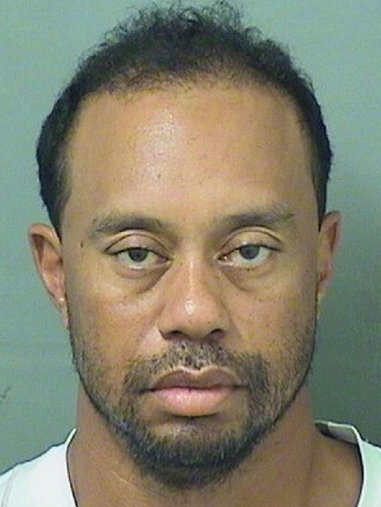 Tiger Woods Arrested on Suspicion of DUI [Mug Shot]