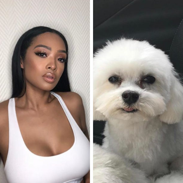 Princess Love Threatens Person Who Stole Her Dog Boogati: We Will Take Action With Police & Bloodhounds! 