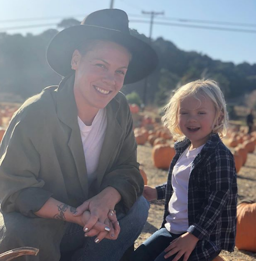 Singer Pink Tests Positive For Coronavirus, Vows To Donate $1 Million To Fight Pandemic! 