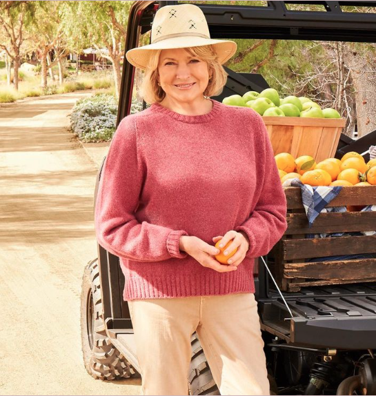 Martha Stewart’s Prison ‘Bestie’ Claims She Was Betrayed After Protecting The TV Mogul Behind Bars