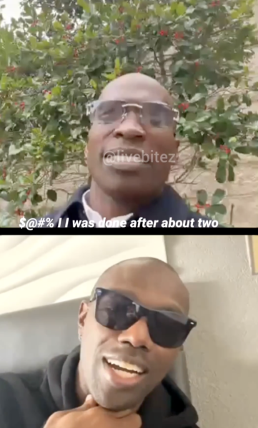 chad ochocinco johnson, terrell owens