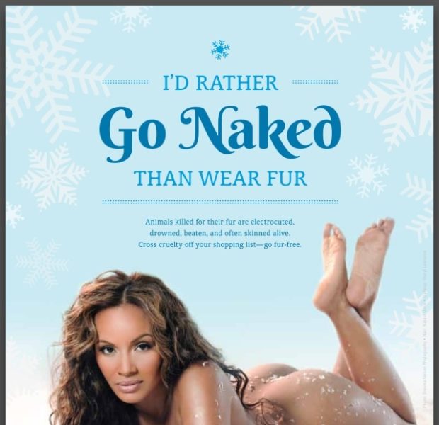 Stop & Stare: Evelyn Lozada Unveils New, Cheeky PETA Ad