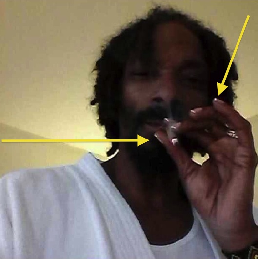 Haute or Hot A** Mess: Snoop Rocks French Tip Nails + Celebrity Stalking