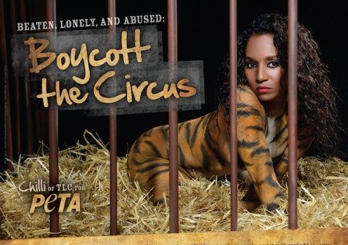 [VIDEO] Crouched In A Cage, Striped in Body Paint: TLC’s Chilli Protests Circus Animals in New PETA Ad