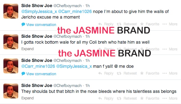 fan taunts wale-gets punched at wwe raw match-the jasmine brand