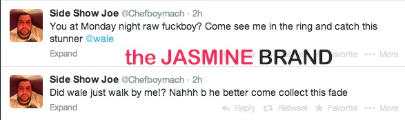 wwe fan taunts wale-gets punched-the jasmine brand