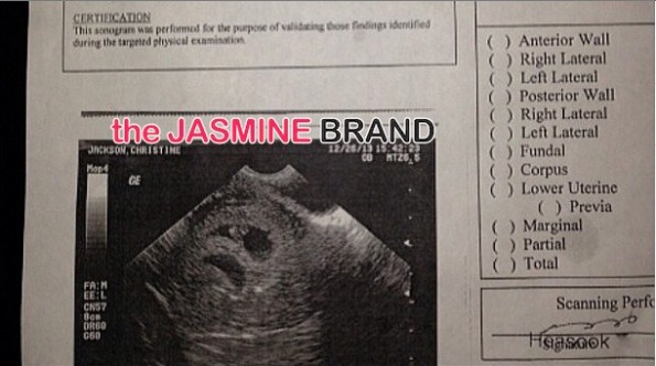 floyd mayweather-shantel jackson-ex fiancee-abortion 2014-the jasmine brand