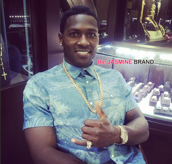 nfler antonio brown steelers child custody case closed the jasmine brand