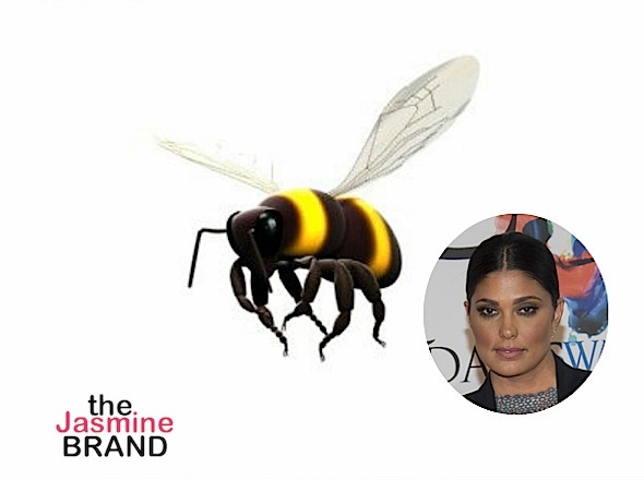 Rachel Roy Reacts to Being Bullied By Beyhive