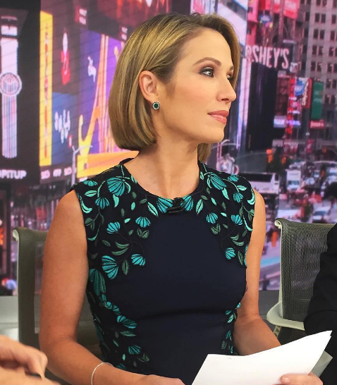 GMA’s Amy Robach Uses Phrase ‘Colored People’, Later Apologizes [VIDEO]