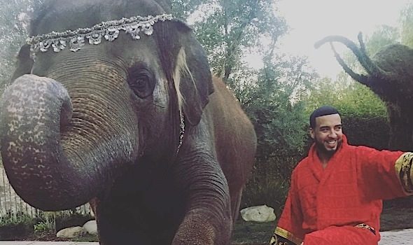 French Montana Gets A Pet Elephant For His Birthday, Animal Rights Activists PISSED [Photos]