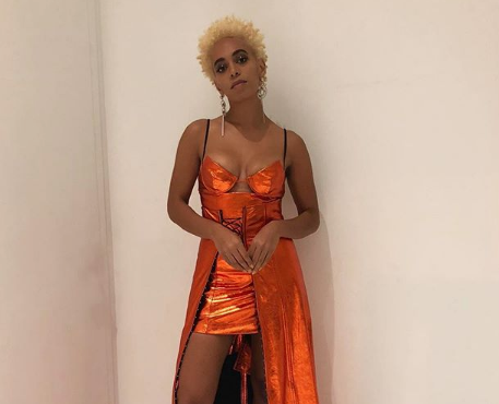 Solange – Sources Reveal Real Reason She Pulled Out Coachella