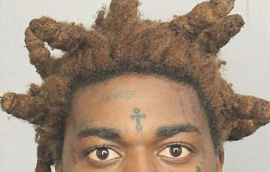 Kodak Black Arrested, Faces Charges of Child Neglect, Grand Theft of Firearm, Weapon Possession [Thug Life]