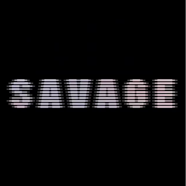 Rihanna Launching Savage Fenty Lingerie Line