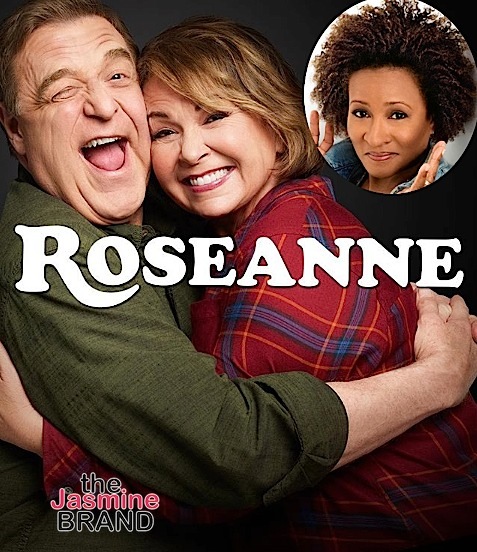 Wanda Sykes Quits ‘Roseanne’ After Star Makes Muslim & Ape Joke About Former Obama Advisor, Who Is Black