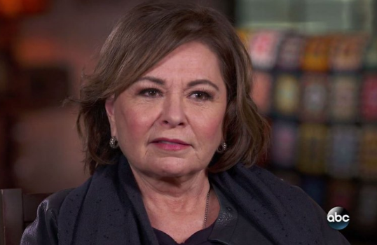 Roseanne Barr Says She’s Queer As 2 Motherf**kers, Wants People To Stop Using F-Word: Especially When It’s 1 Gay Calling Another Gay That!