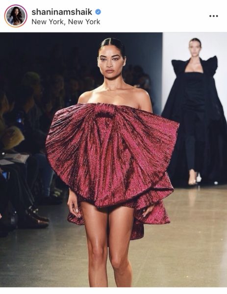 Victoria's Secret Annual Fashion Show Canceled This Year, According To  Super Model Shanina Shaik - theJasmineBRAND