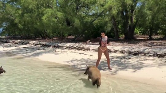 Kim Kardashian Awkwardly Runs From Pigs On Beach: ‘I Was Scared’