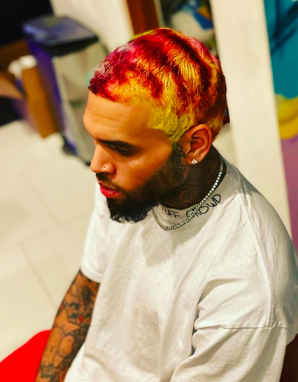 Chris Brown Debuts Rainbow Colored Hairstyle Channeling Willy