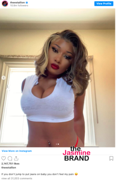 megan thee stallion dont stop roblox id