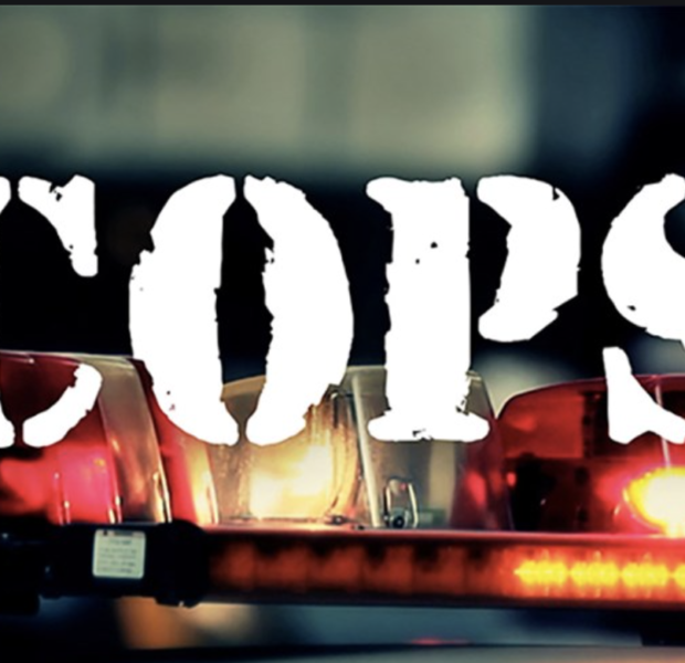 ‘Cops’ & Other Law Enforcement Themed Shows Axed From Paramount Network And A&E