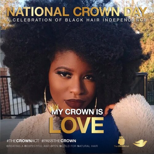 National Crown Day Set For July 3rd: A Day Of Solidarity For Women, Men & Children To Wear Their Natural Hair Boldly & Proudly