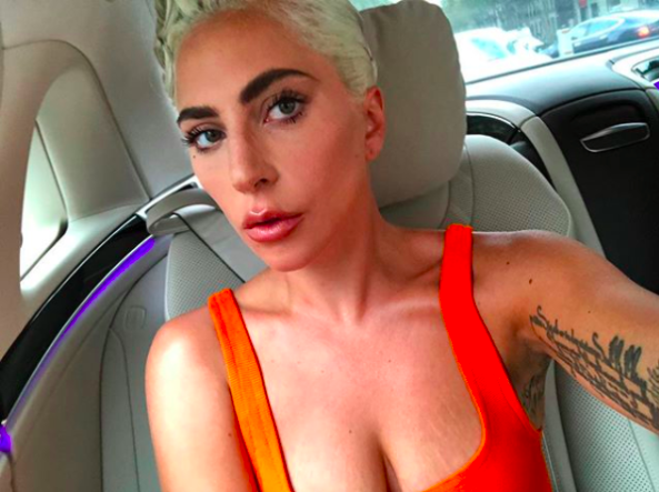 Lady Gaga Reportedly Offering $500K Award After Dogs Are Stolen, Dog Walker Shot In Attack
