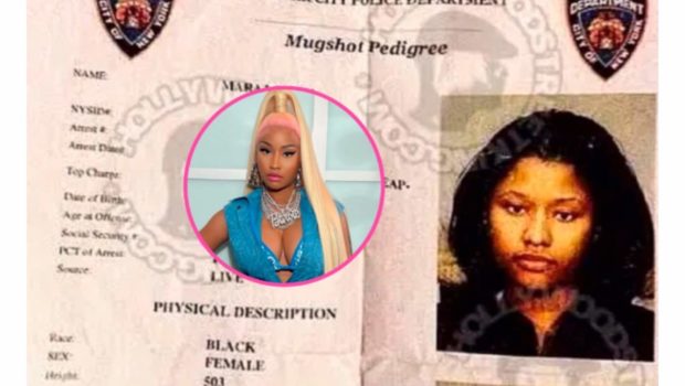 Nicki Minaj Posts & Deletes Mugshot From 2003 Arrest: It Took Years To Be Able To Look At Things Like This