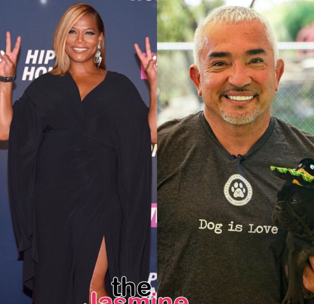 Queen Latifah – Dog Trainer Cesar Millan Settles Lawsuit Where He Was Accused Of Covering Up Death Of Entertainer’s Dog