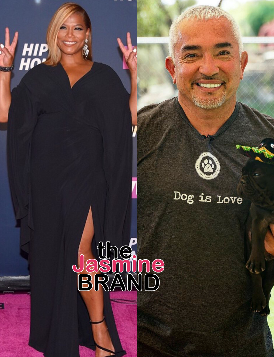 Queen Latifah Dog Trainer Cesar Millan Settles Lawsuit Where He Was