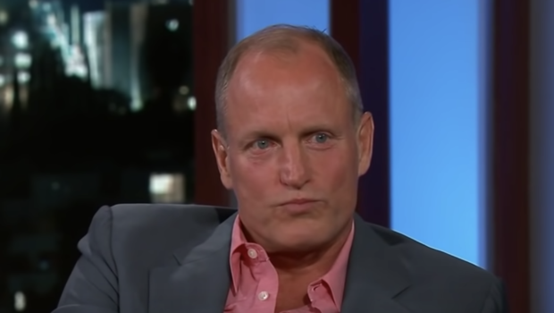 Actor Woody Harrelson Punches A Man For Taking Photos Of Him & His Daughter