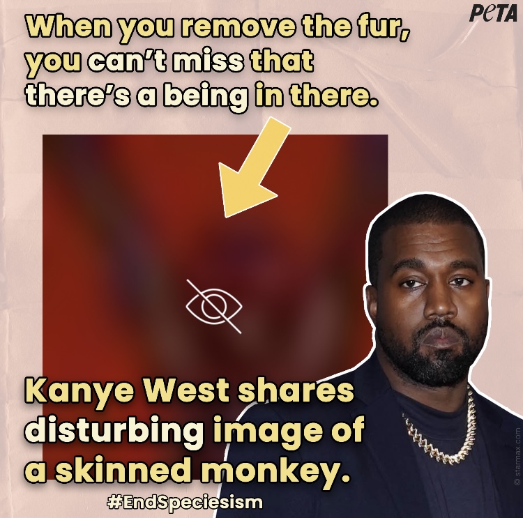 Kanye PETA Slams Rapper For Using Skinned Monkey For Cover Art there