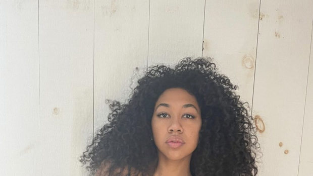 Aoki Lee Simmons Calls Out Harvard Professors For Not Considering Her Modeling Career As ‘Real Work’
