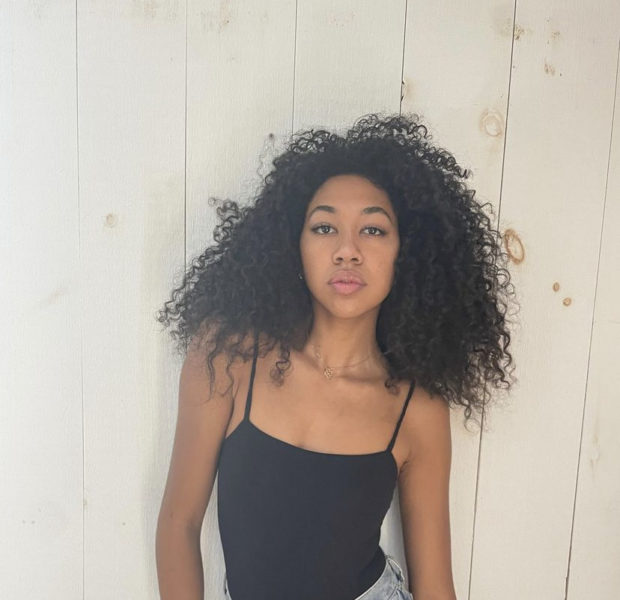 Aoki Lee Simmons Calls Out Harvard Professors For Not Considering Her Modeling Career As ‘Real Work’