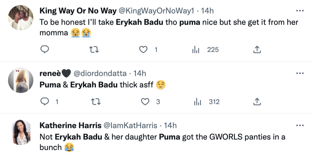 Erykah Badu's Daughter Puma Responds To Criticism Surrounding Her ...