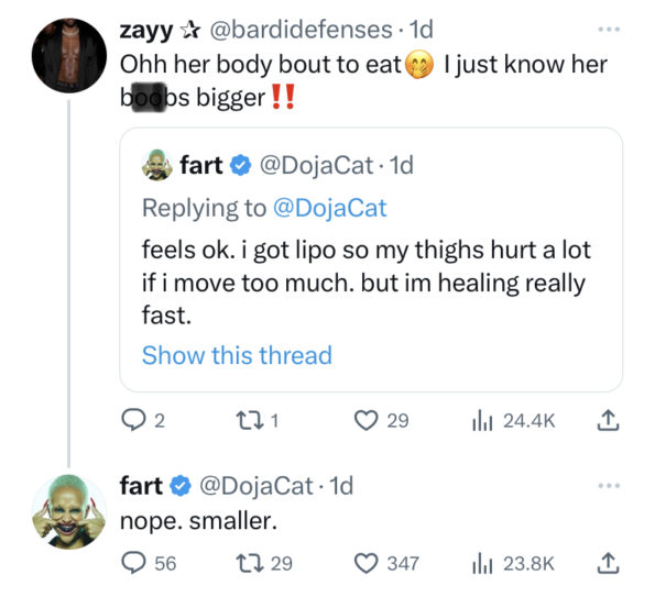 Doja Cat Gives Health Update To Fans Following Breast Reduction &  Liposuction: 'My Thighs Hurt A Lot If I Move Too Much, But I'm Healing  Really Fast' - theJasmineBRAND