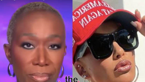 Amber Rose Responds After Being Slammed By Joy-Ann Reid For Trying To ‘Recruit Young People Of Color’ To Vote For Trump: ‘Never Said I Wasn’t Black’