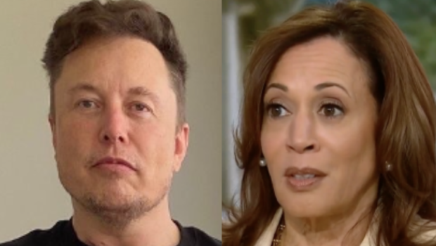 Elon Musk Accused Of Election Interference After X Account ‘White Dudes For Harris’ Was Temporarily Deactivated Following Multi-Million Dollar Fundraiser