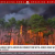 19-Year-Old Arrested For Allegedly Starting New Jersey Wildfire By Setting Wooden Pallets Ablaze & Leaving w/o Properly Extinguishing Them