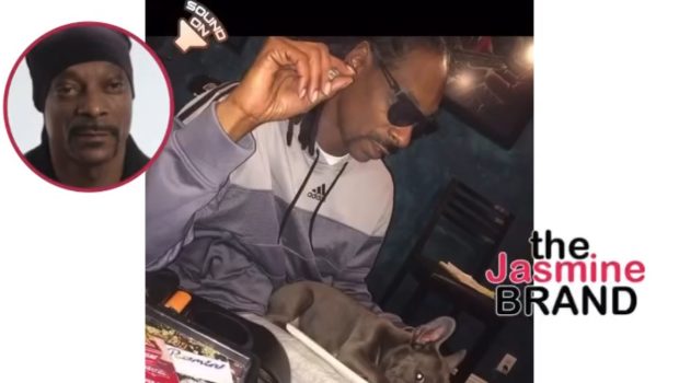 Snoop Dogg Mourns The Loss Of His Beloved Dog, Juelz
