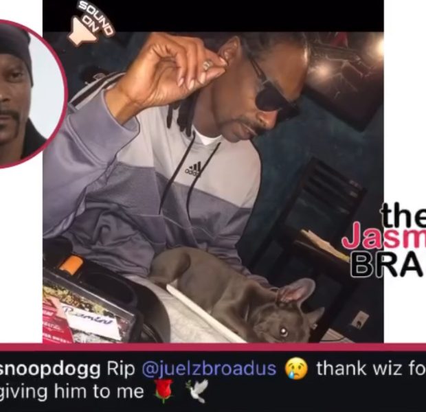 Snoop Dogg Mourns The Loss Of His Beloved Dog, Juelz