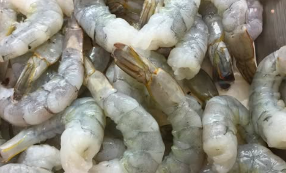 Almost 45,000 lbs Of Shrimp Recalled Due To Possible ‘Fatal’ Listeria Contamination