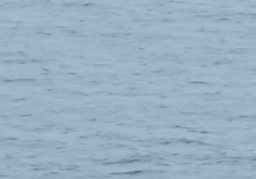 Dad Jumps Overboard To Save Daughter Who Fell Off Disney Cruise Ship