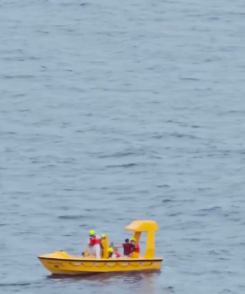 Dad Jumps Overboard To Save Daughter Who Fell Off Disney Cruise Ship